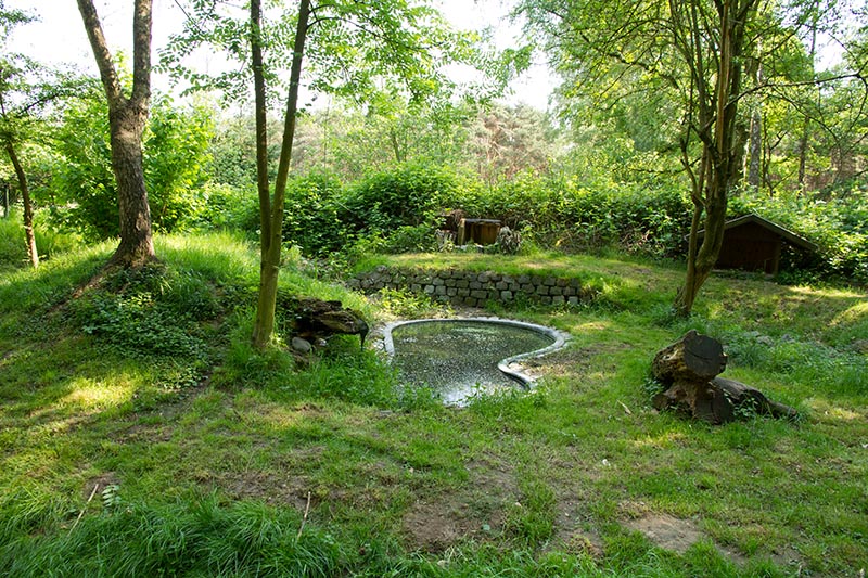 Das Gehege der europischen Wildkatzen